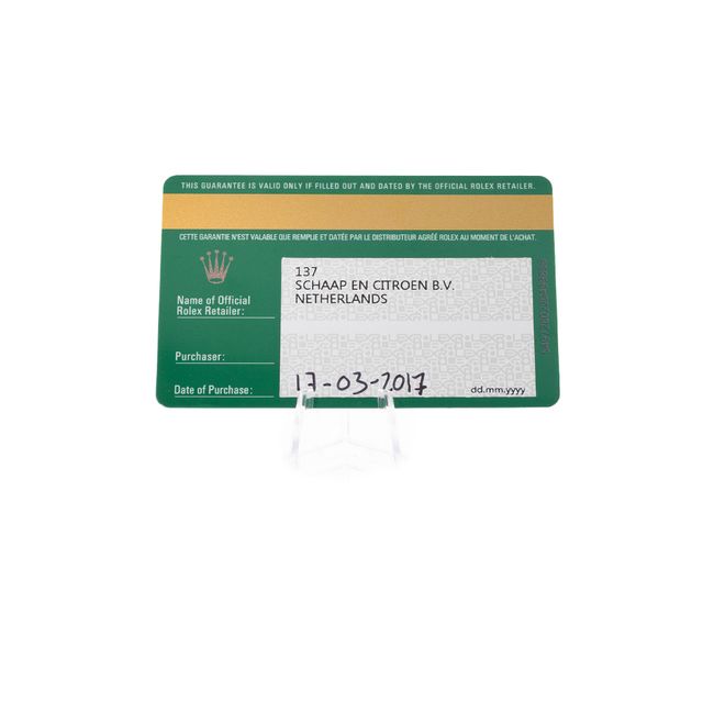 Rolex Datejust 41 126333 Image 3